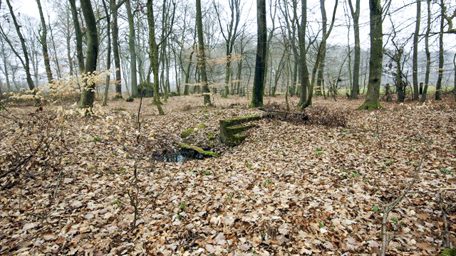 Ligne Maginot - HIEHL - (Casernement) -  - Association Les Bergers des Pierres