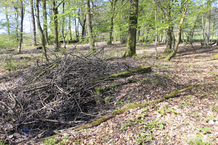 Ligne Maginot - HIEHL - (Casernement) -  - jin jac
