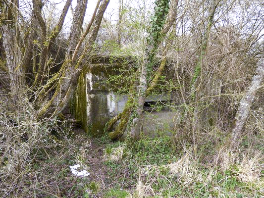Ligne Maginot - HIRBACH 1 (Blockhaus pour canon) -  - AALMA - lignemaginot.com