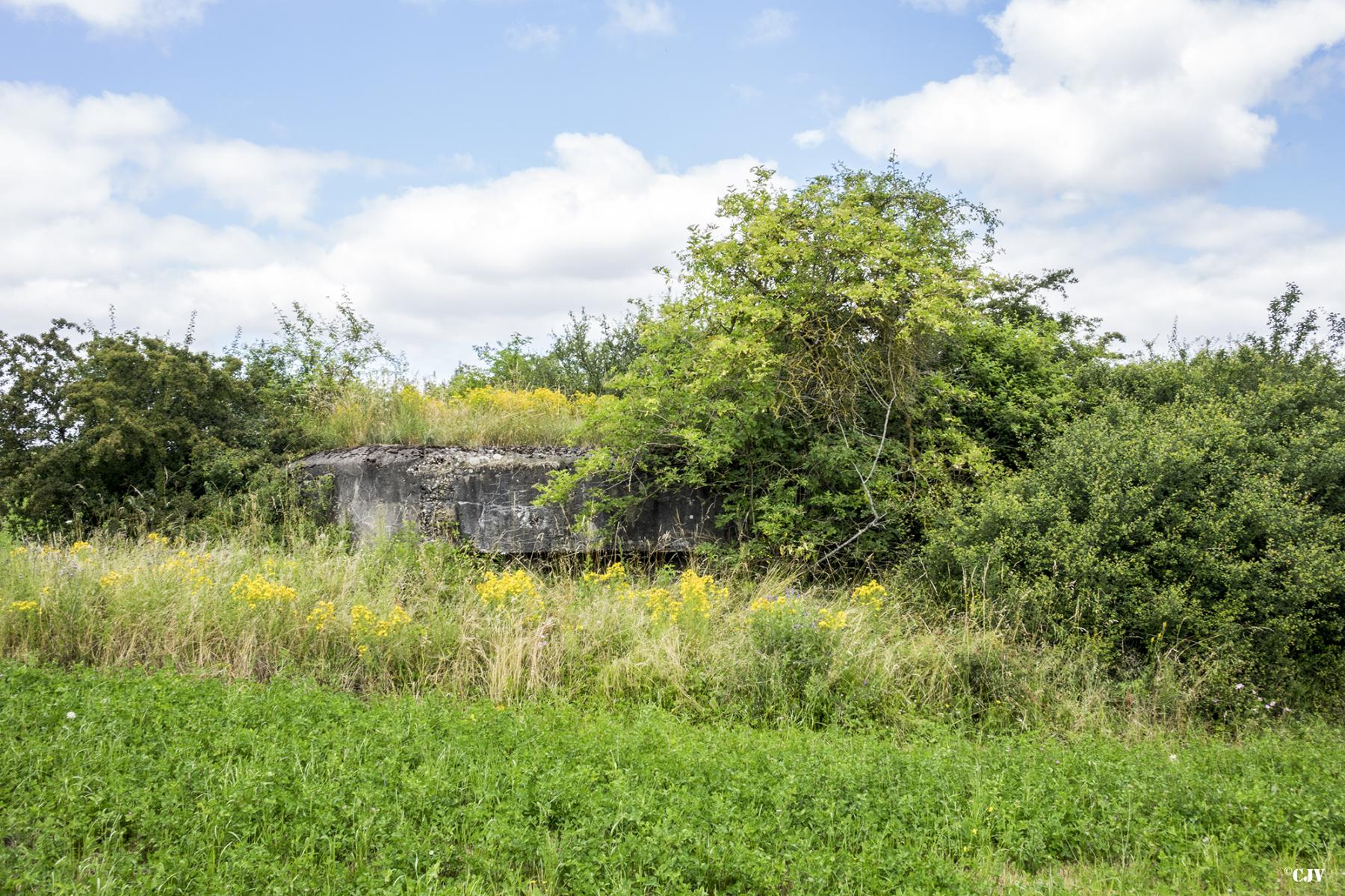 Ligne Maginot - HOFERBRÜCKE 5 - (Blockhaus de type indeterminé) -  - Lia VERMEULEN