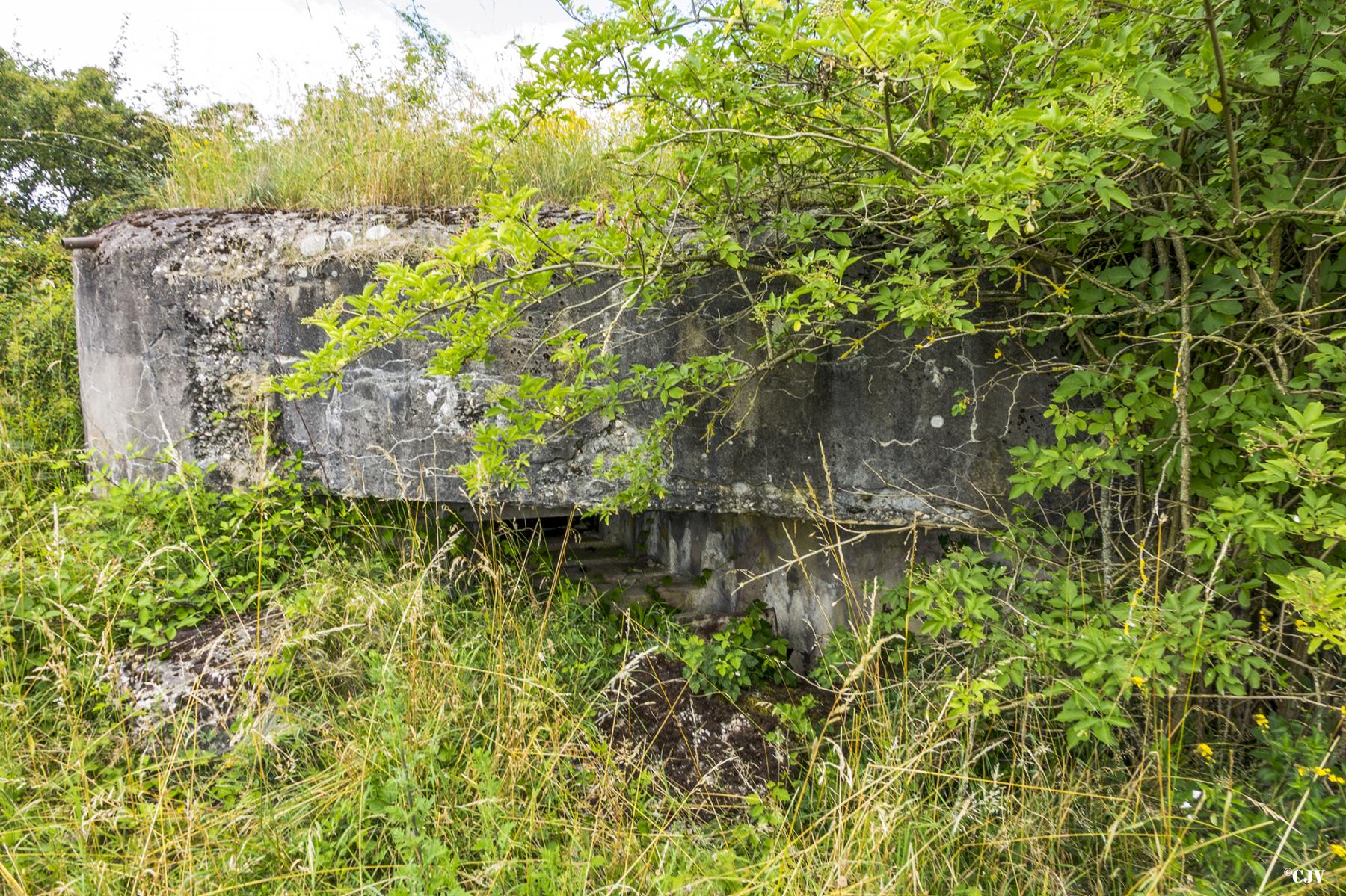 Ligne Maginot - HOFERBRÜCKE 5 - (Blockhaus de type indeterminé) -  - Lia VERMEULEN