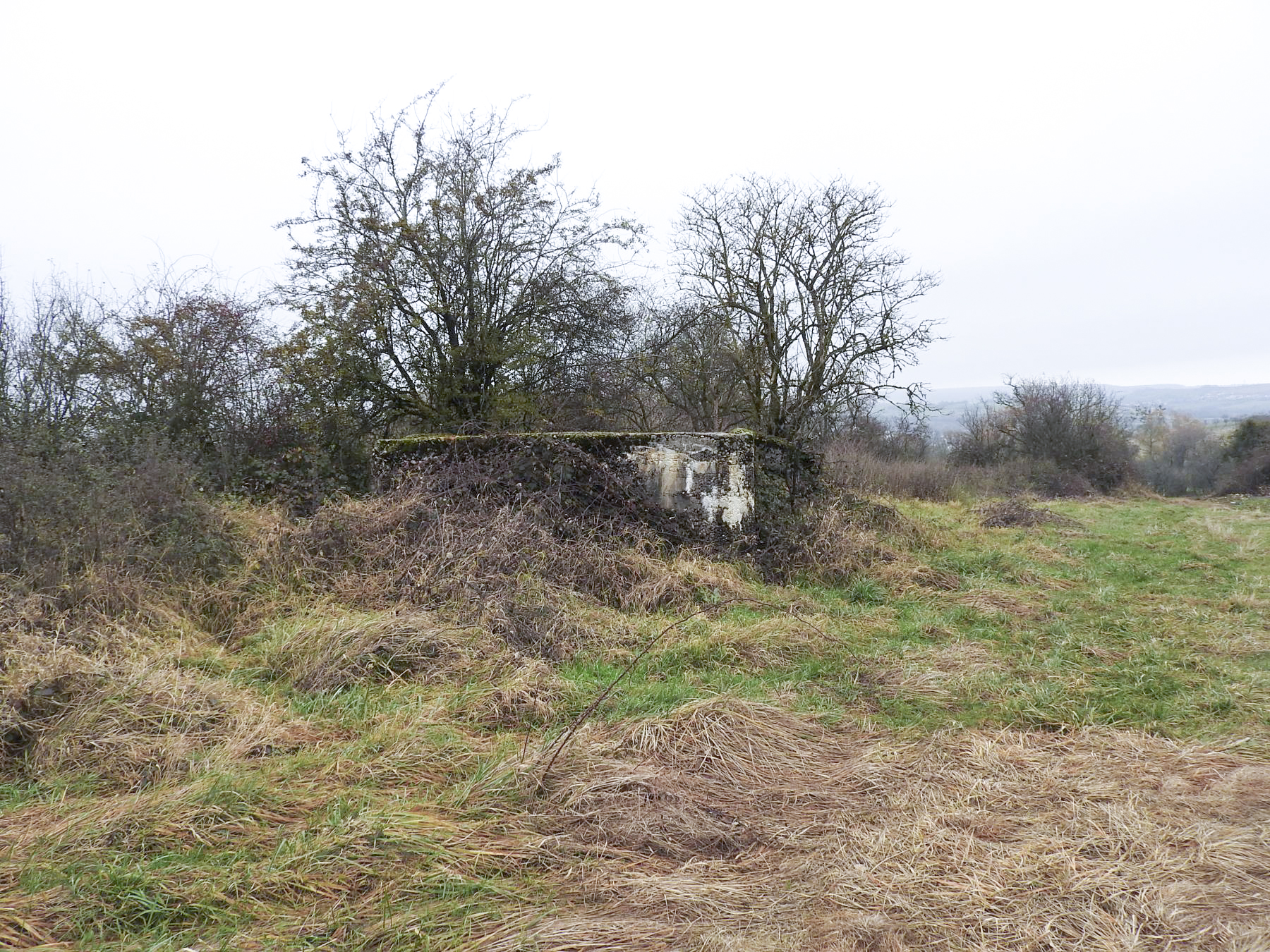 Ligne Maginot - KLINGELBRUNNEN EST - (Blockhaus pour arme infanterie) - Le blockhaus anti-char. - STENGER Mathieu
