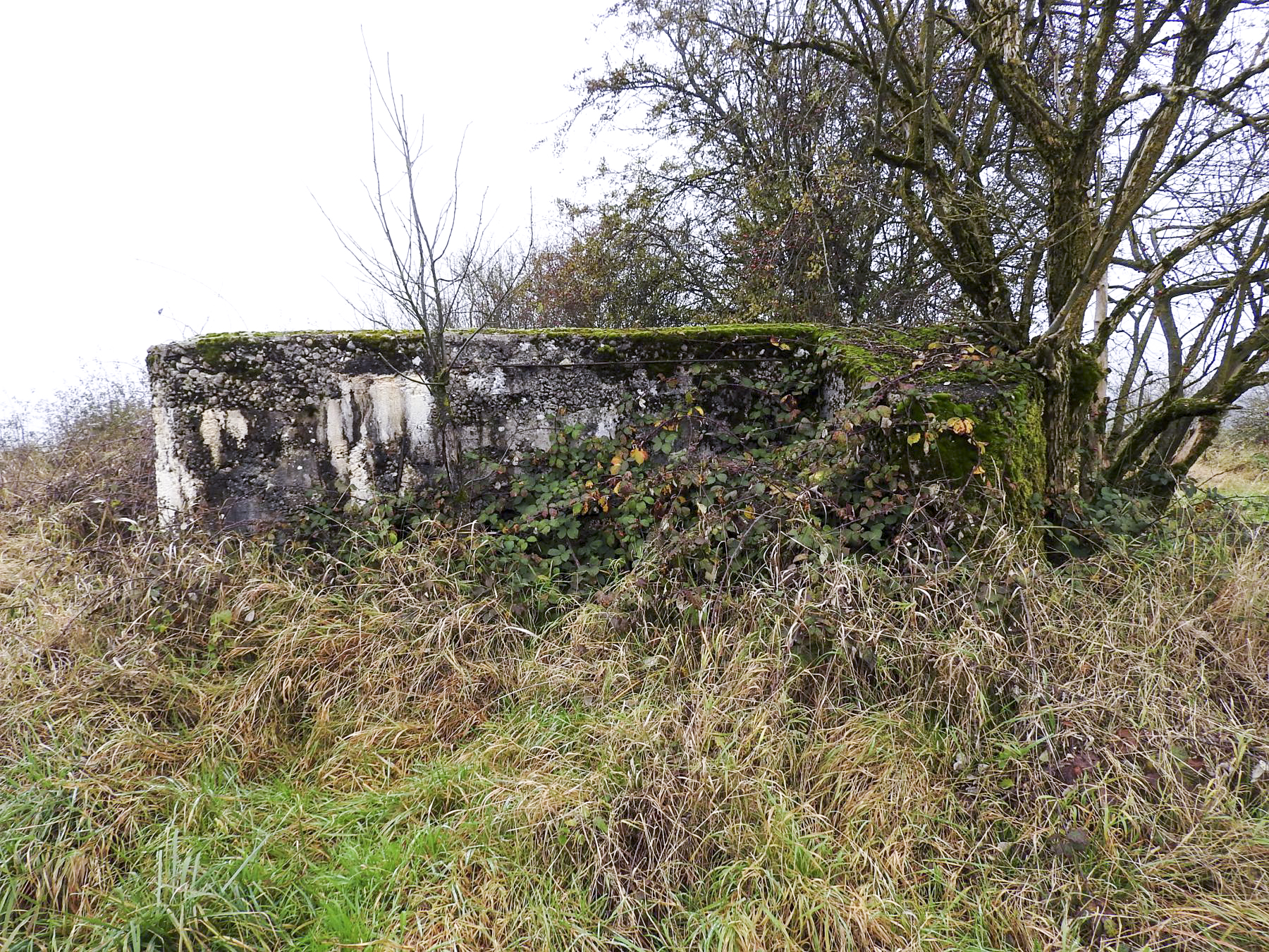 Ligne Maginot - KLINGELBRUNNEN EST - (Blockhaus pour arme infanterie) - La façade de tir. - STENGER Mathieu