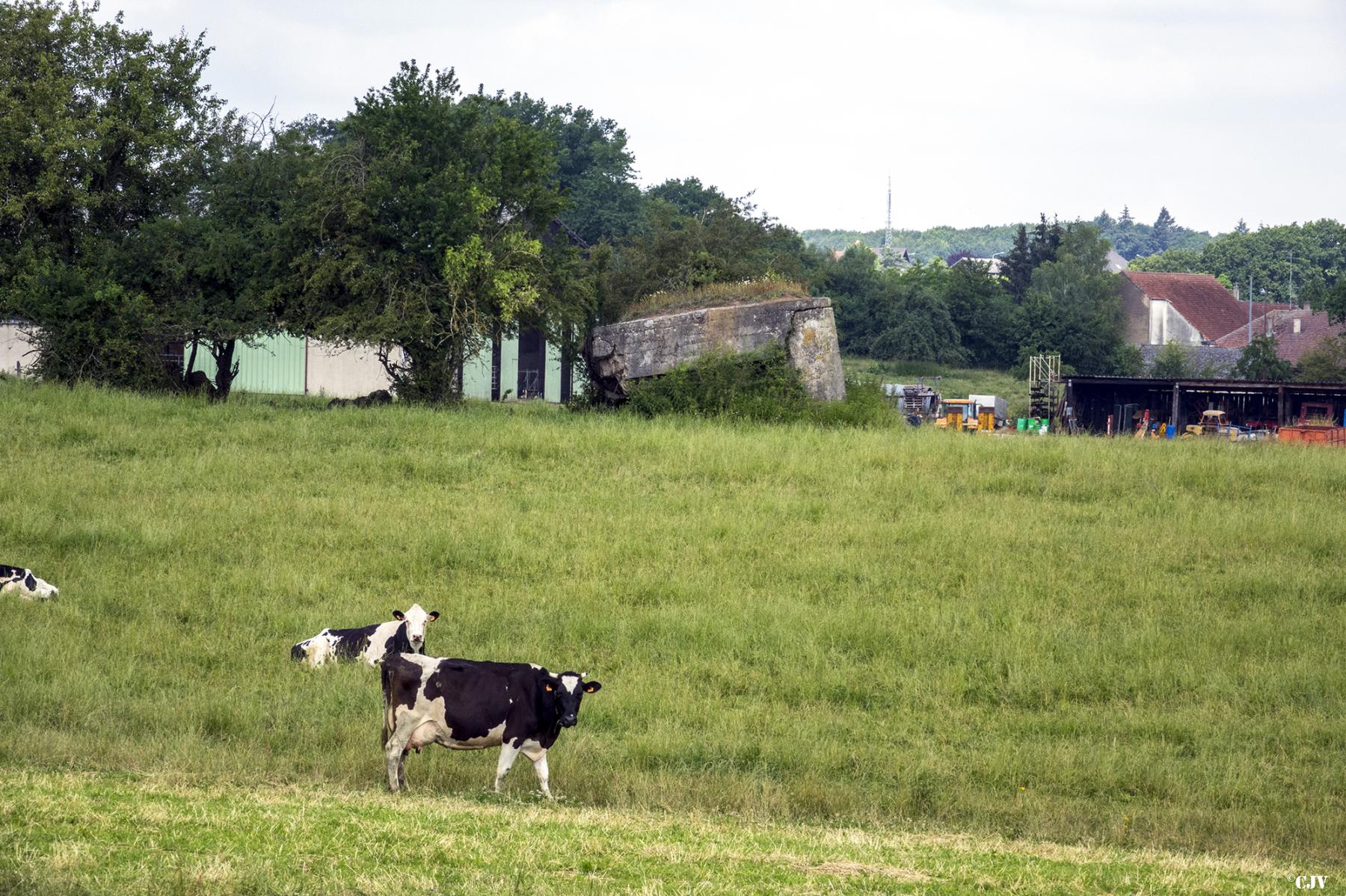 Ligne Maginot - M4B - (Blockhaus de type indeterminé) -  - Lia VERMEULEN