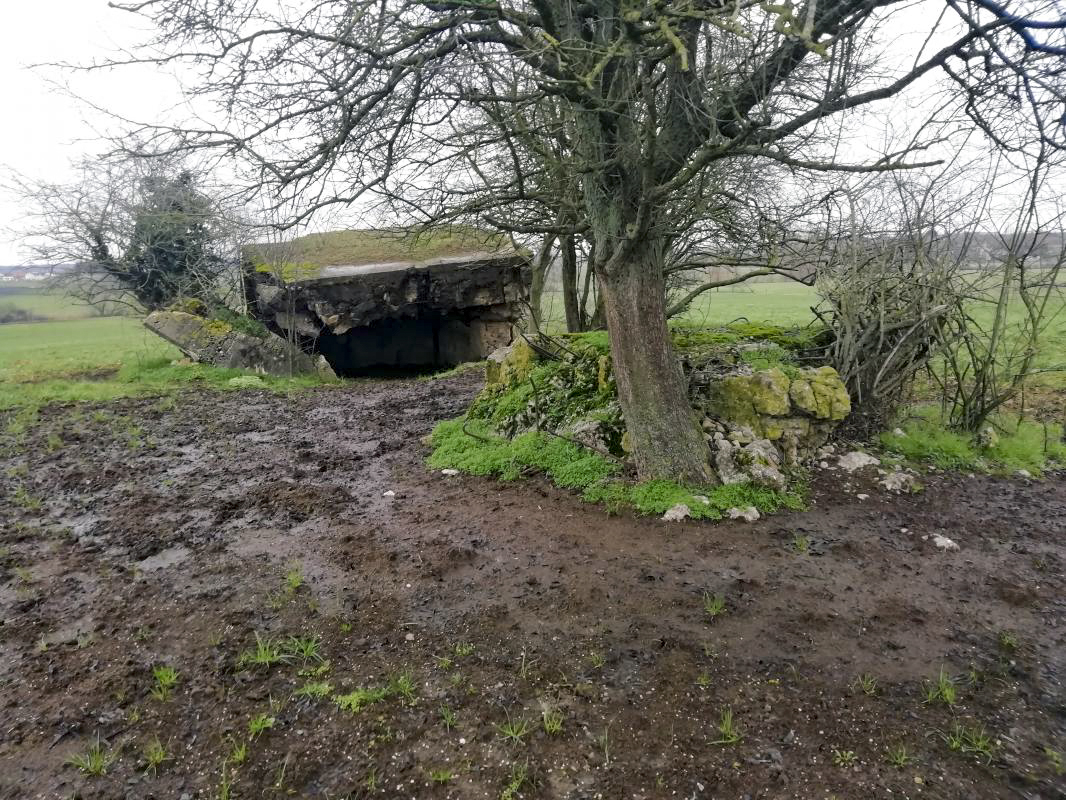 Ligne Maginot - M4B - HERRENWEG 5 - (Blockhaus de type indeterminé) - Ruines du bloc - Jin Jac