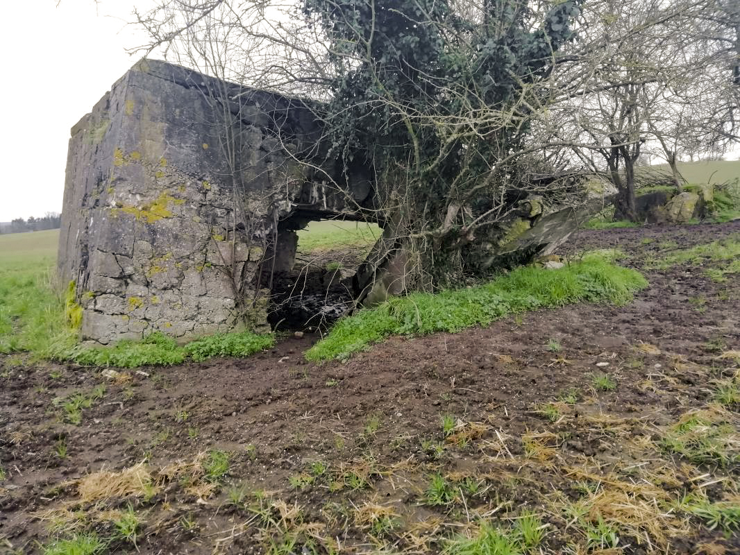 Ligne Maginot - M4B - HERRENWEG 5 - (Blockhaus de type indeterminé) - Ruines du bloc - Jin Jac