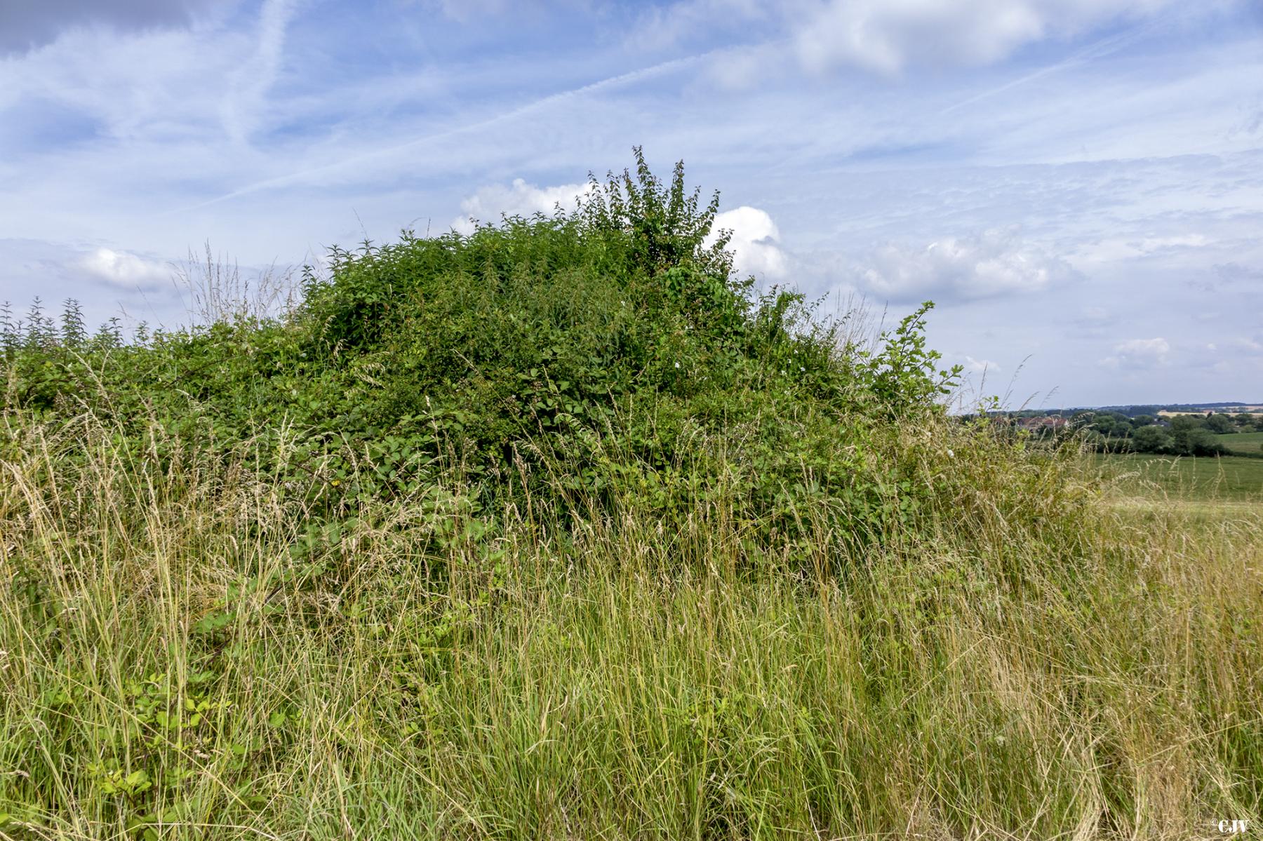 Ligne Maginot - M8 - (Blockhaus de type indeterminé) -  - Lia VERMEULEN