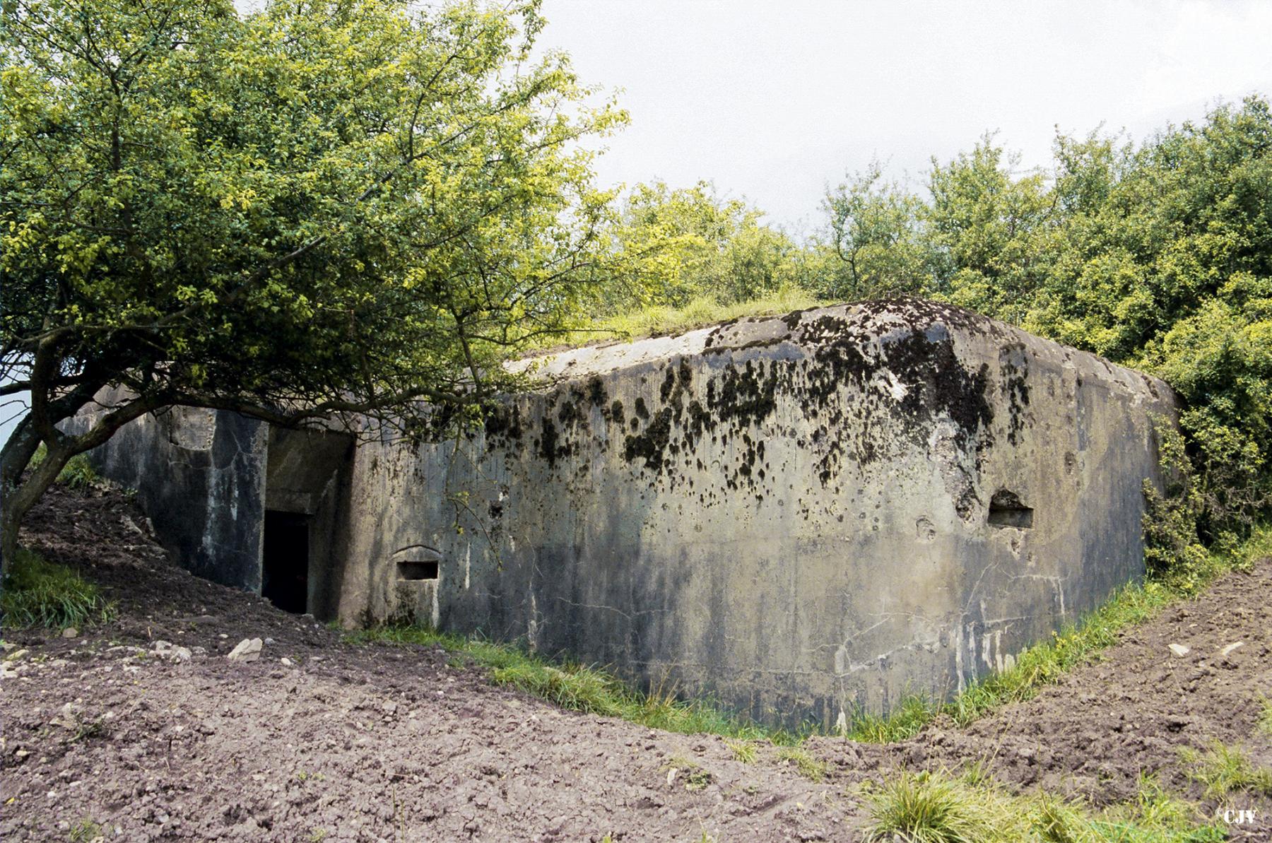 Ligne Maginot - M12B - HOLVING Sud 6 (Abri) -  - Lia VERMEULEN