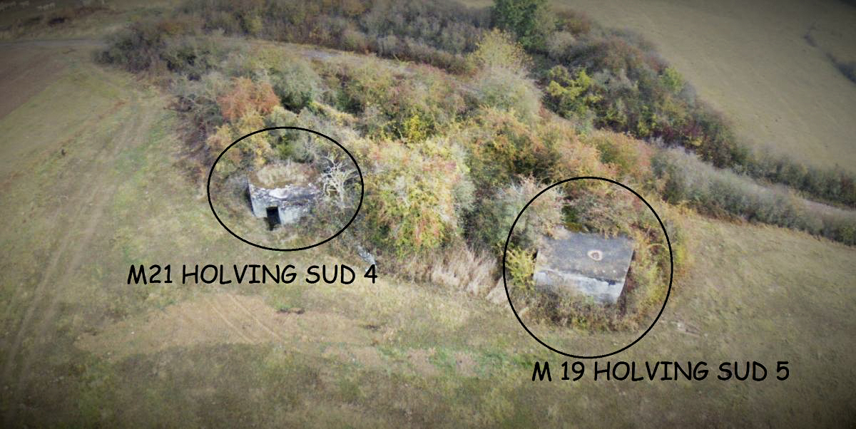 Ligne Maginot - M21 - HOLVING SUD 4 - (Blockhaus pour arme infanterie) -  - jin jac