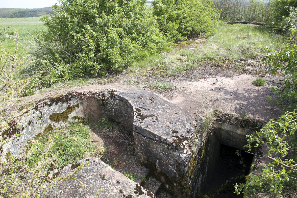 Ligne Maginot - M118T - HOLVING Sud 1 (Blockhaus pour arme infanterie) -  - Alain Perouffe