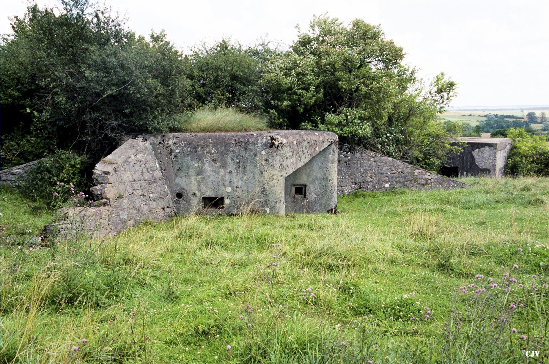 Ligne Maginot - M21 - HOLVING SUD 4 - (Blockhaus pour arme infanterie) -  - Lia VERMEULEN