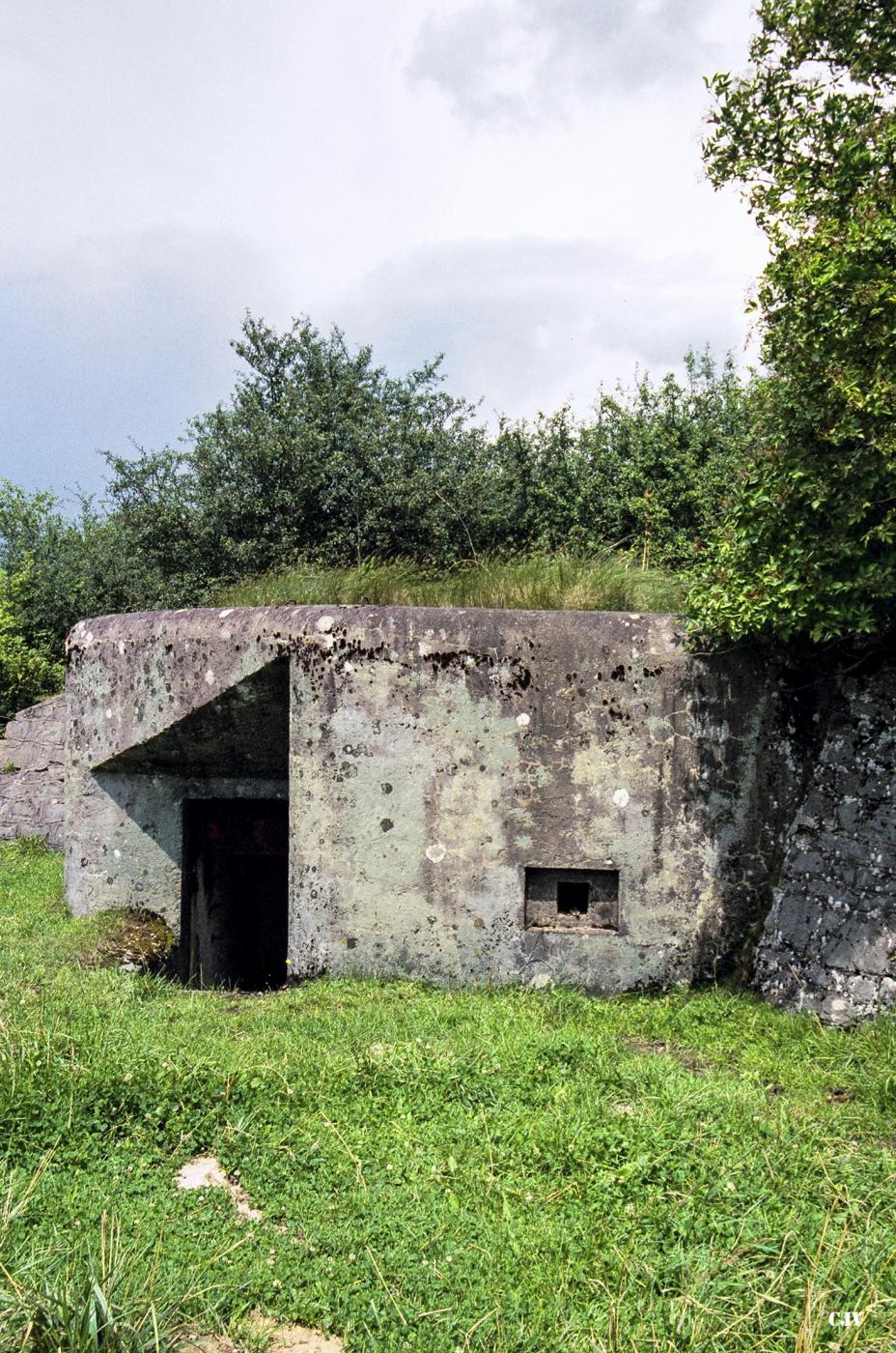 Ligne Maginot - M21 - HOLVING SUD 4 - (Blockhaus pour arme infanterie) -  - Lia VERMEULEN