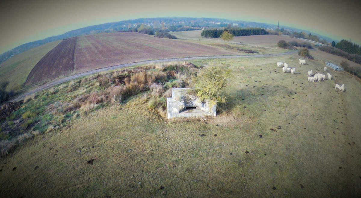 Ligne Maginot - M28 - HOLVING SUD 2 - (Blockhaus pour arme infanterie) -  - jin jac