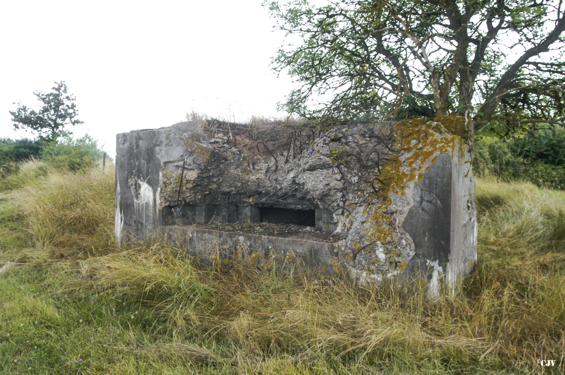 Ligne Maginot - M28 - HOLVING SUD 2 - (Blockhaus pour arme infanterie) -  - Lia VERMEULEN