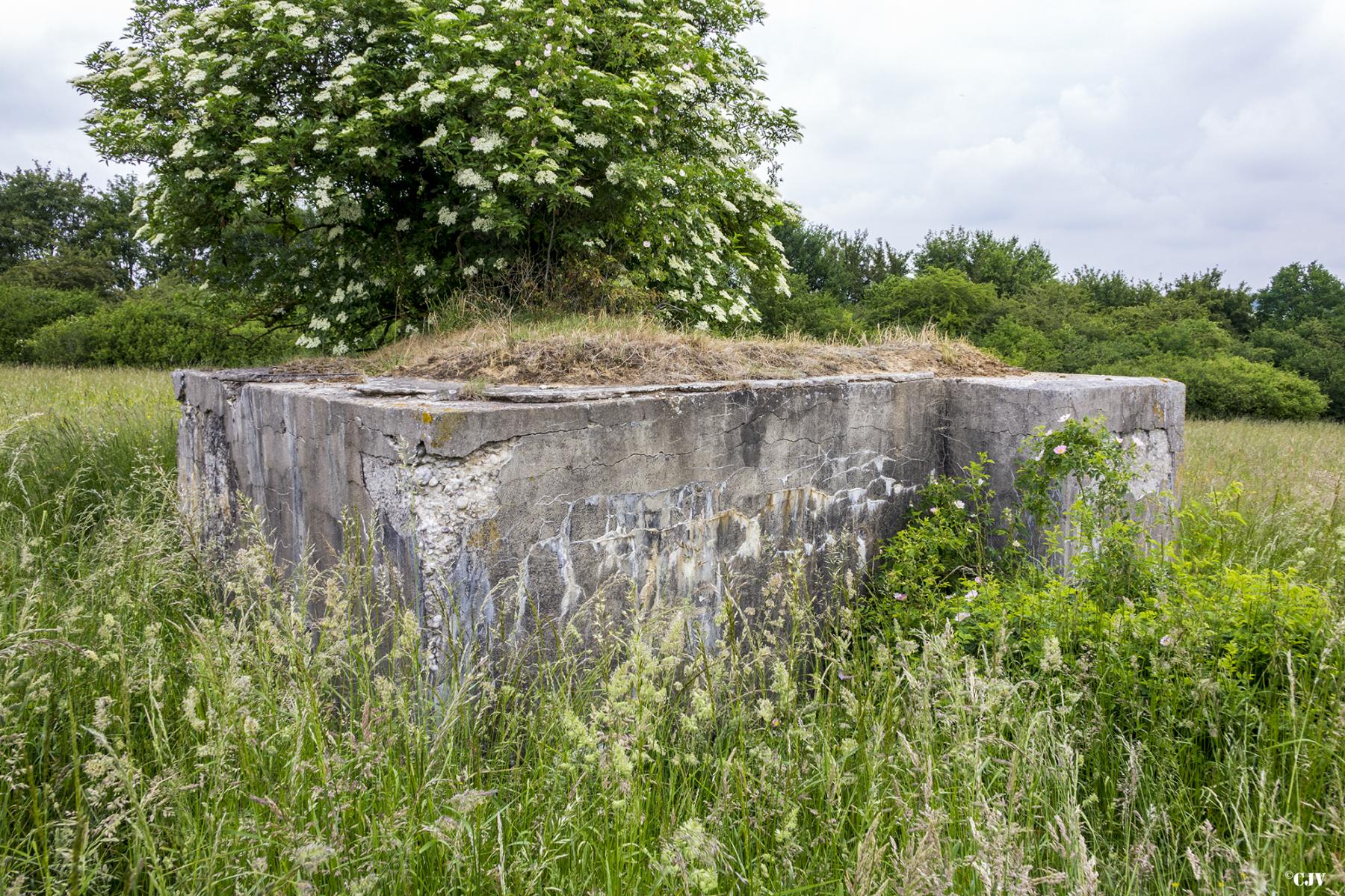 Ligne Maginot - M28 - HOLVING SUD 2 - (Blockhaus pour arme infanterie) -  - Lia VERMEULEN