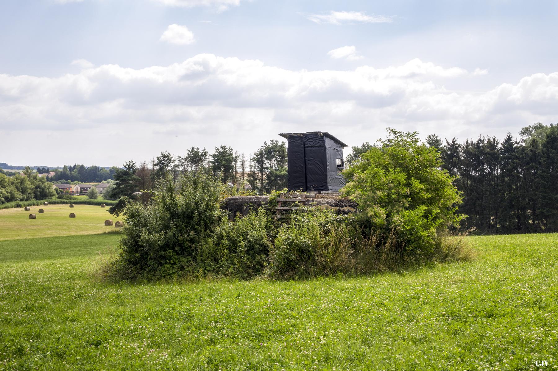 Ligne Maginot - M40 - (Blockhaus de type indeterminé) -  - Lia VERMEULEN