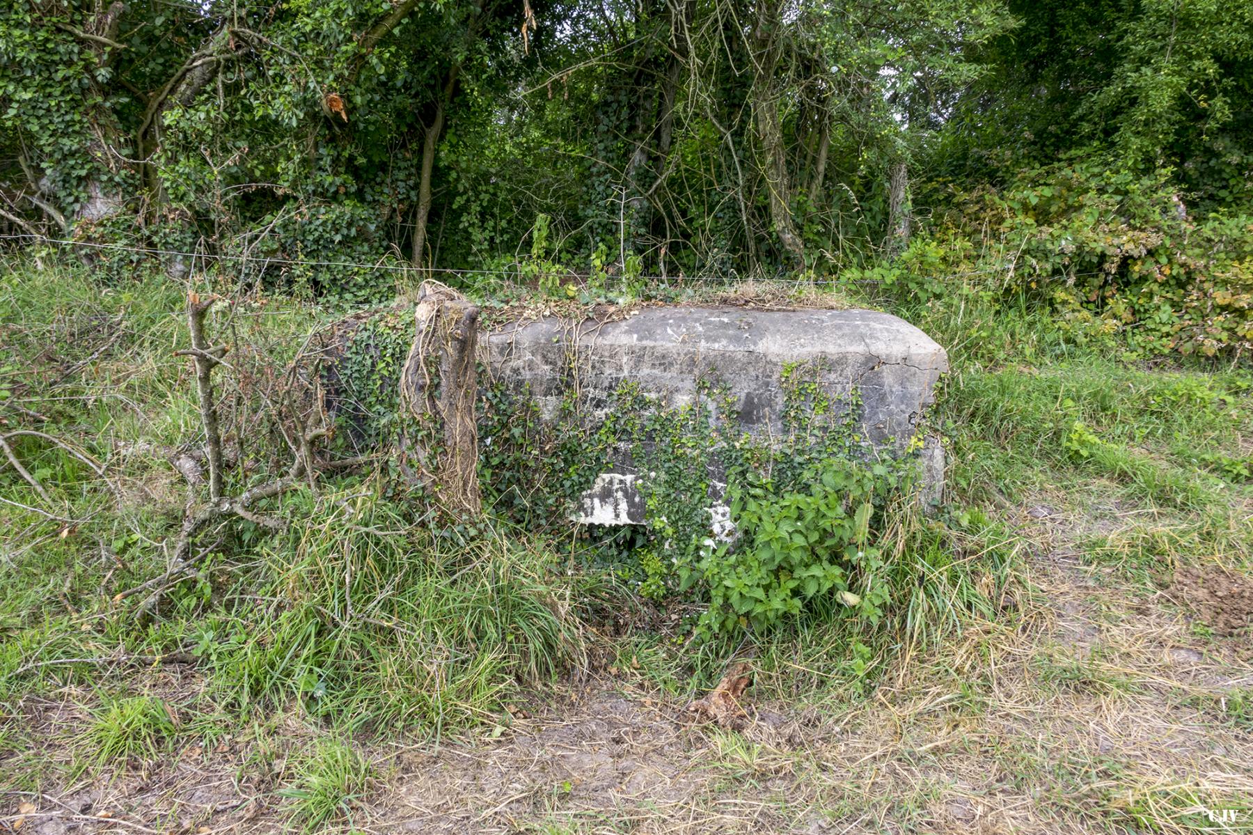 Ligne Maginot - M41 - (Blockhaus de type indeterminé) -  - Lia VERMEULEN
