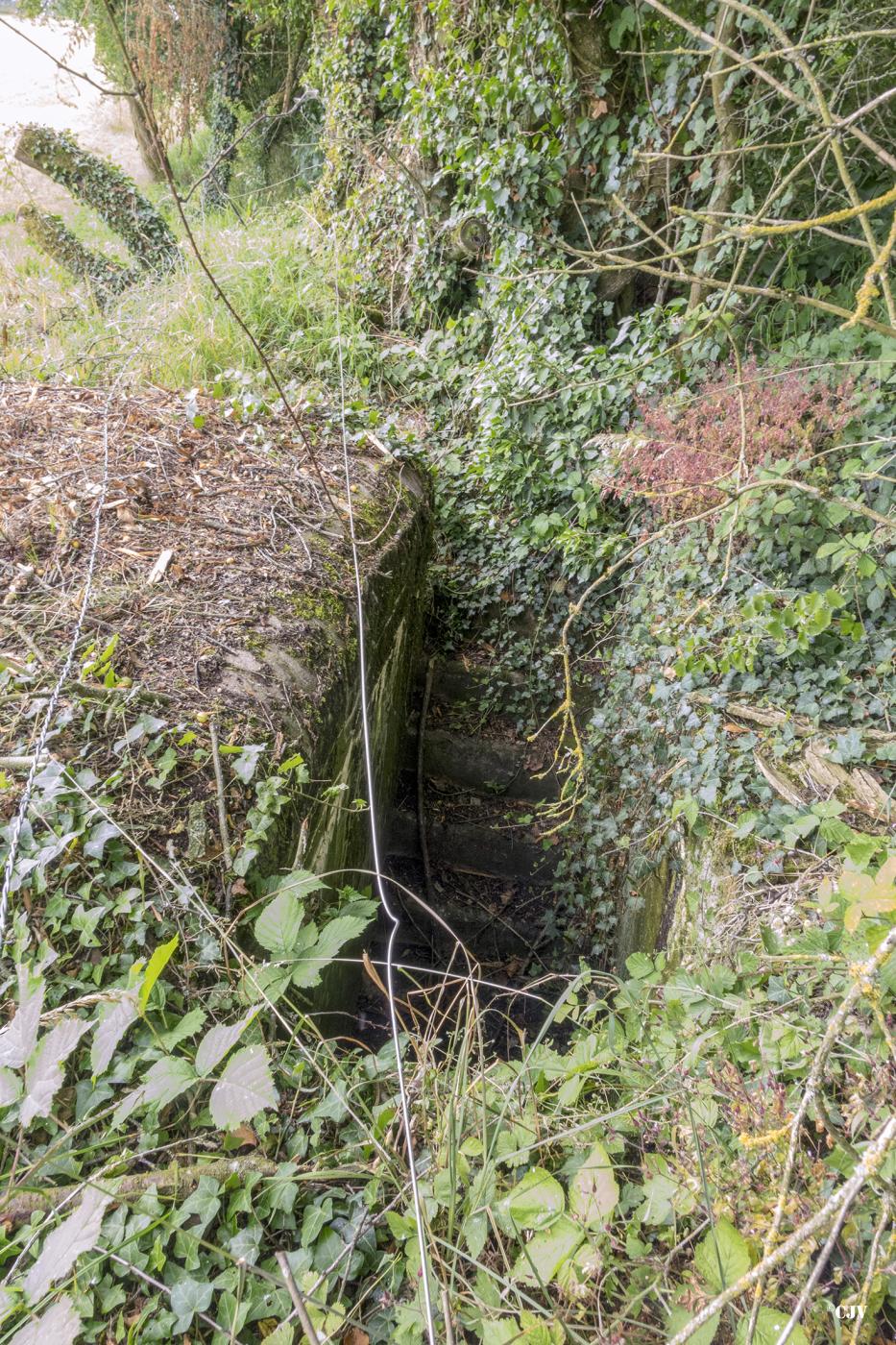Ligne Maginot - M41 - (Blockhaus de type indeterminé) -  - Lia VERMEULEN