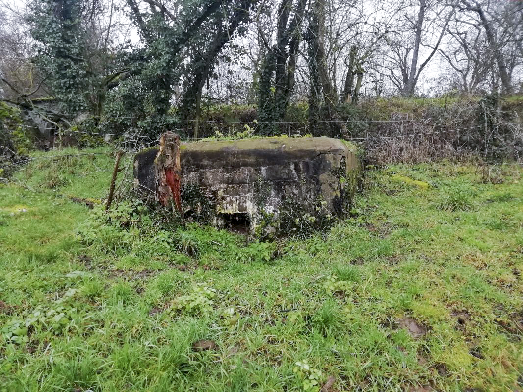 Ligne Maginot - M41B - HERRENWEG 4 - (Blockhaus de type indeterminé) -  - Jin Jac