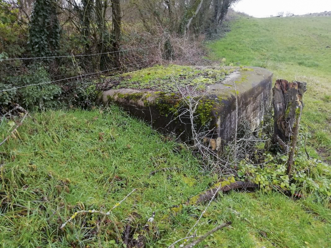 Ligne Maginot - M41B - HERRENWEG 4 - (Blockhaus de type indeterminé) -  - Jin Jac