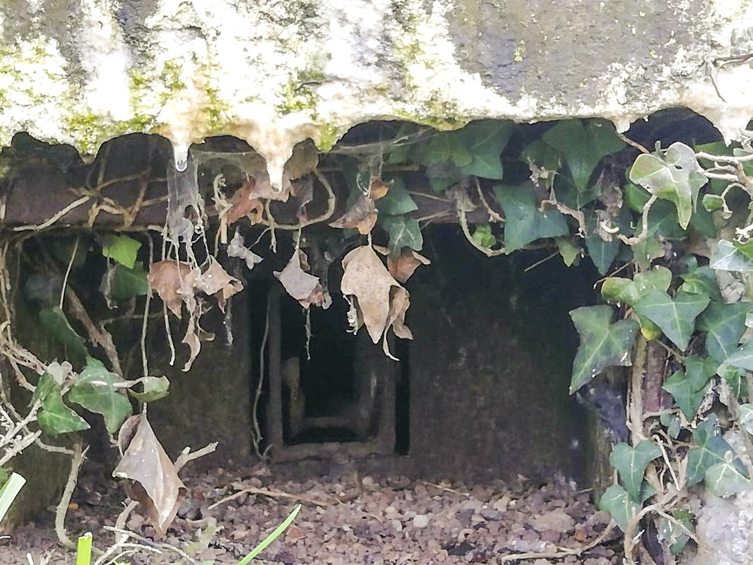 Ligne Maginot - M41B - HERRENWEG 4 - (Blockhaus de type indeterminé) - Le seul créneau du blockhaus - Jin Jac