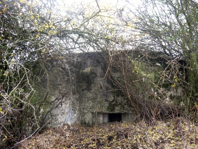 Ligne Maginot - MAYERSBUSCH - (Blockhaus pour arme infanterie) - Façade de tir - Christian LENHARD
