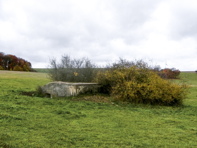Ligne Maginot - MAYERSBUSCH - (Blockhaus pour arme infanterie) -  - Christian LENHARD