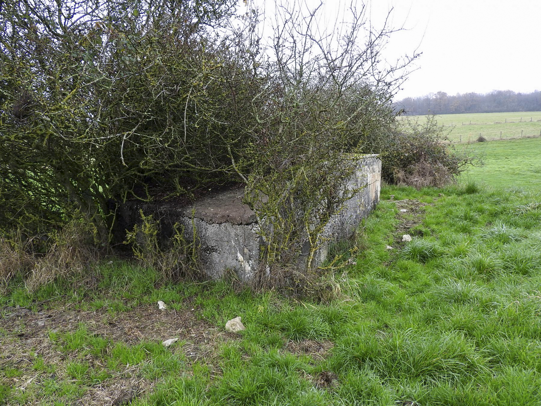 Ligne Maginot - MAYERSBUSCH - (Blockhaus pour arme infanterie) - La façade arrière. - STENGER Mathieu