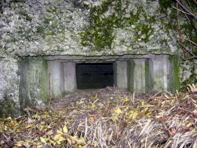 Ligne Maginot - MAYERSBUSCH - (Blockhaus pour arme infanterie) - Créneau mitrailleuse - Christian LENHARD
