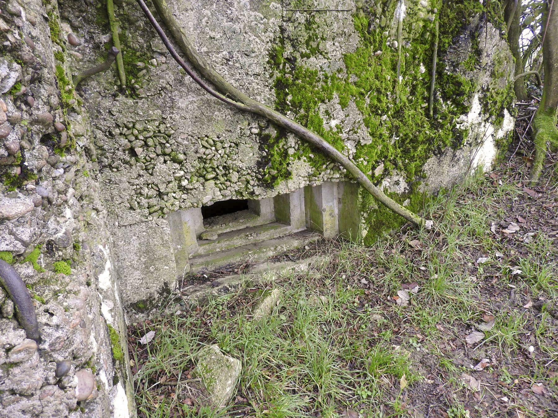 Ligne Maginot - MAYERSBUSCH - (Blockhaus pour arme infanterie) - Le créneau pour une mitrailleuse. - STENGER Mathieu
