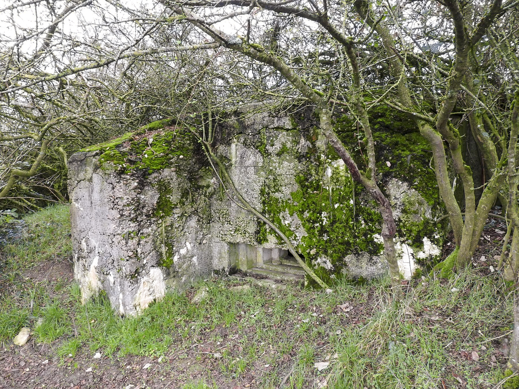 Ligne Maginot - MAYERSBUSCH - (Blockhaus pour arme infanterie) - La façade de tir. - STENGER Mathieu