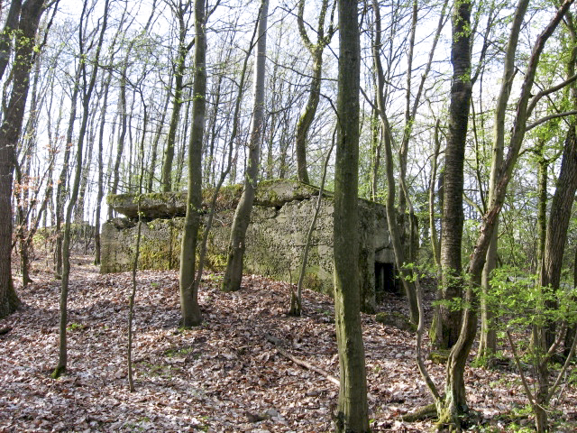Ligne Maginot - Vue générale -  - Christian LENHARD