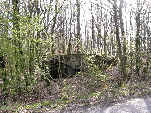 Ligne Maginot - Vue générale -  - Christian LENHARD
