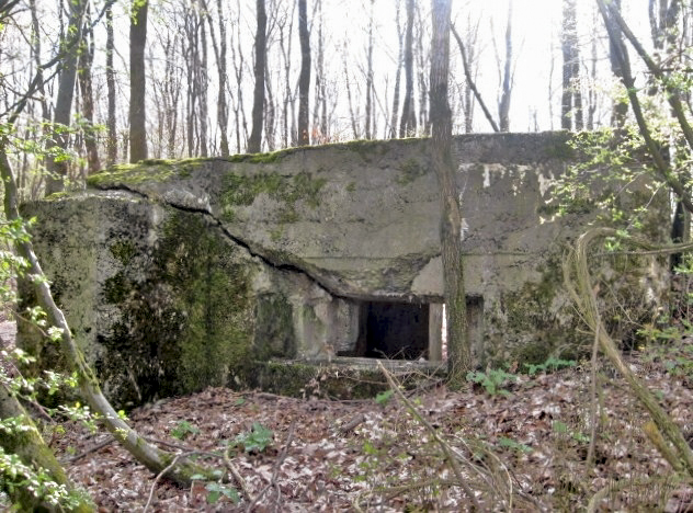 Ligne Maginot - Façade de tir - Façade de tir - Christian LENHARD