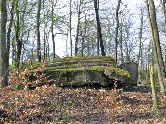 Ligne Maginot - MEISTERBUSCH SUD - (Blockhaus pour arme infanterie) - Vue générale - Christian LENHARD