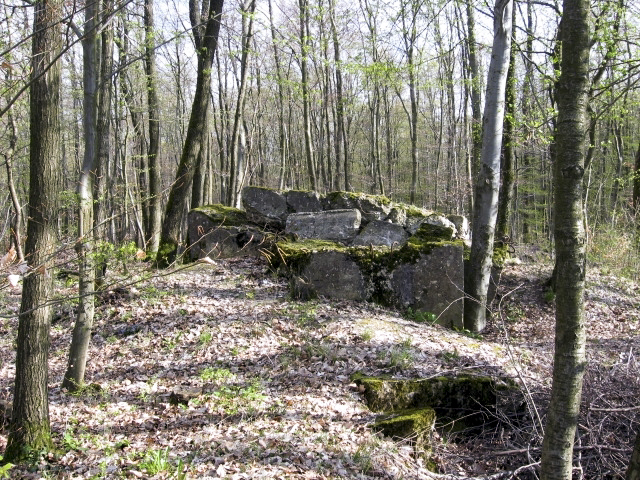 Ligne Maginot - MEISTERBUSCH SUD - (Blockhaus pour arme infanterie) -  - Christian LENHARD