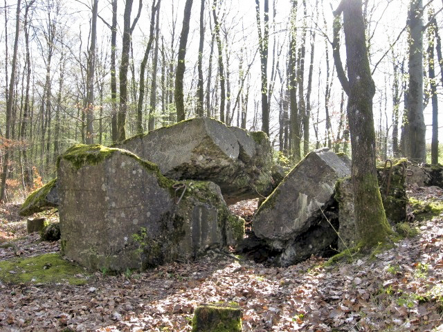 Ligne Maginot - MEISTERBUSCH SUD - (Blockhaus pour arme infanterie) -  - Christian LENHARD