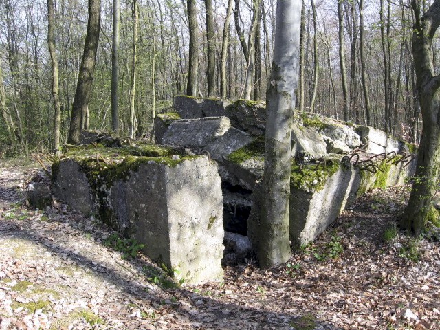 Ligne Maginot - MEISTERBUSCH SUD - (Blockhaus pour arme infanterie) - L'entrée - Christian LENHARD