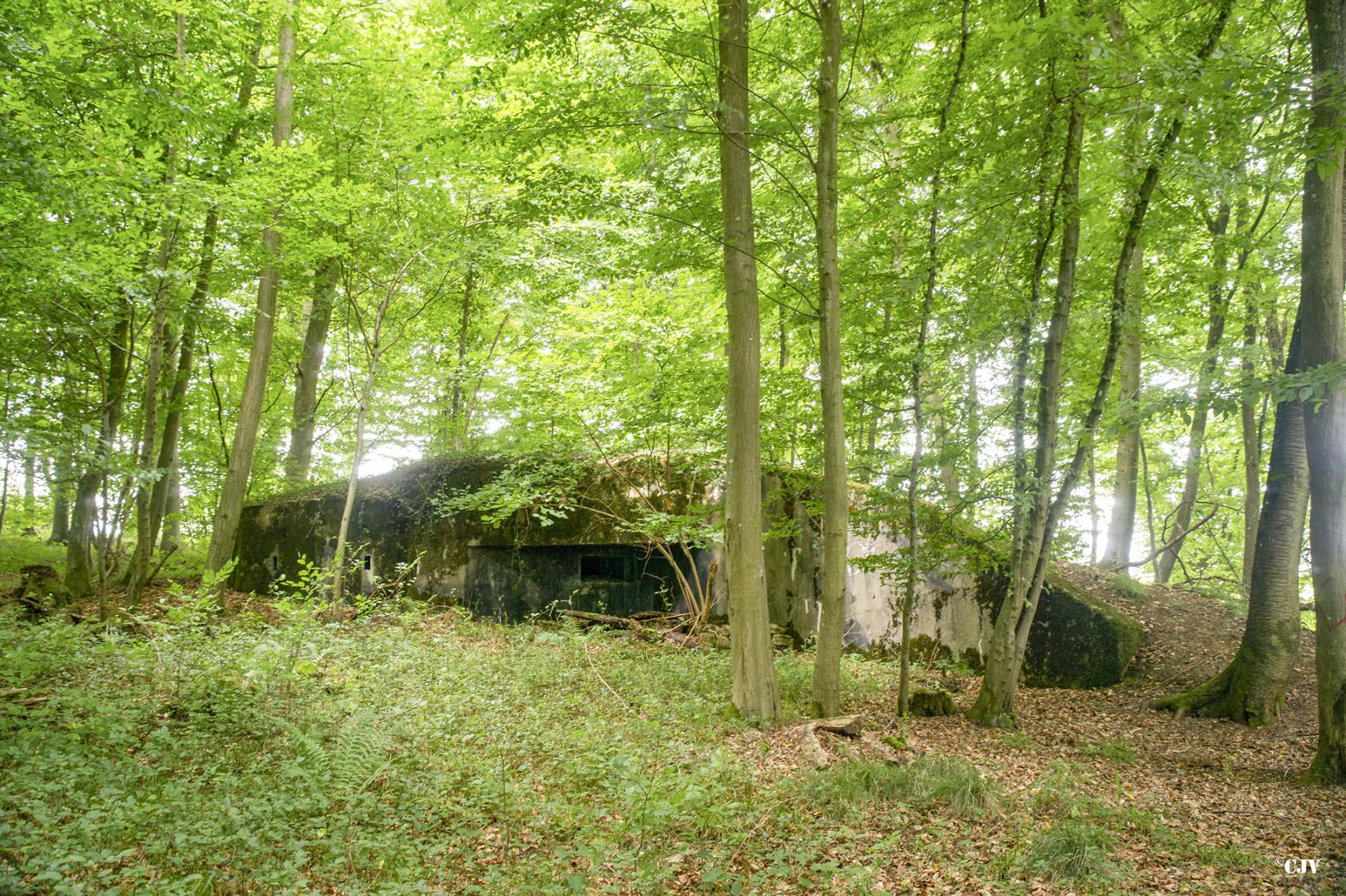 Ligne Maginot - M128 - MITTENWALD 3 - (Blockhaus pour arme infanterie) -  - Lia VERMEULEN