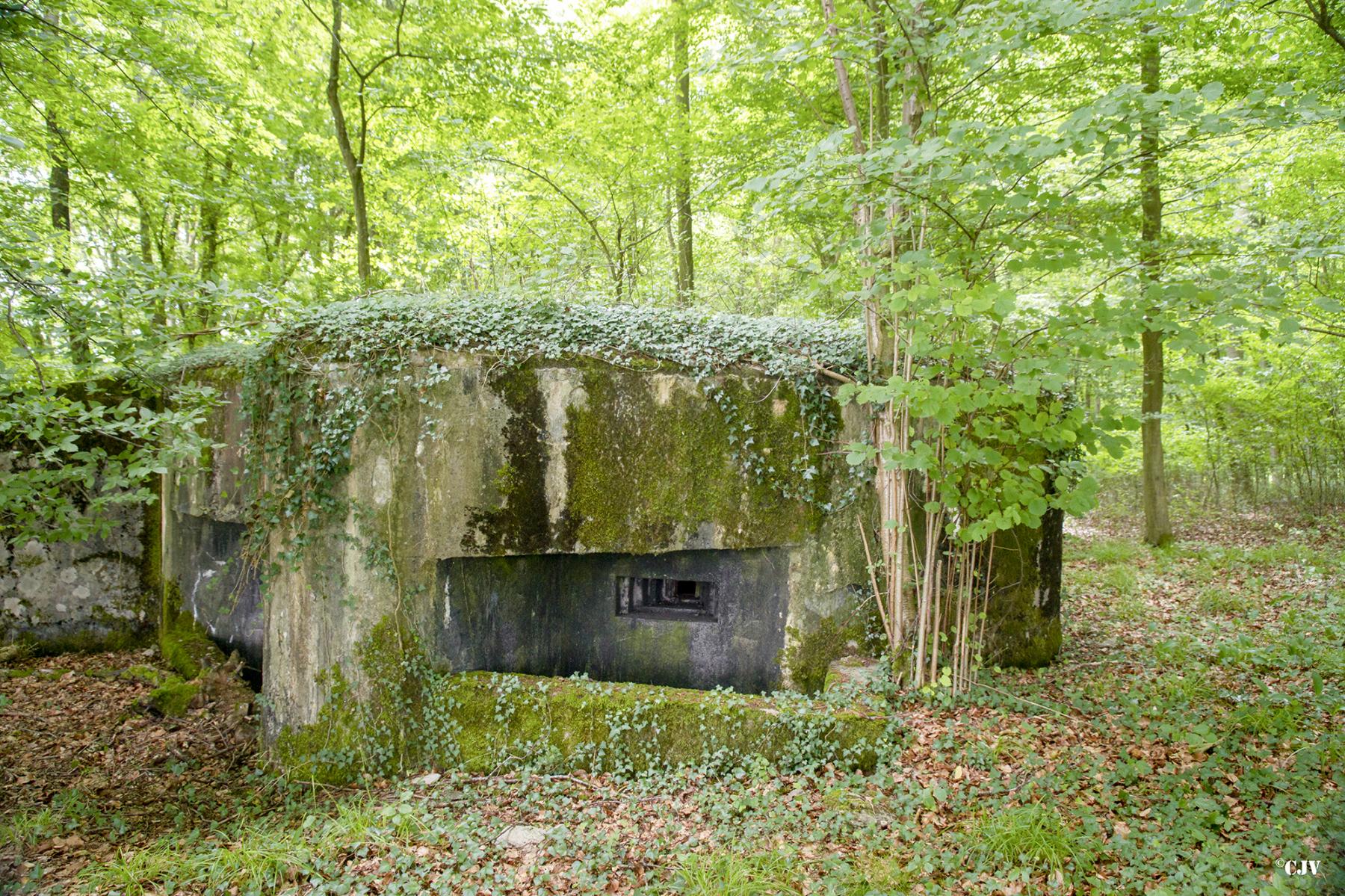 Ligne Maginot - M128 - MITTENWALD 3 - (Blockhaus pour arme infanterie) -  - Lia VERMEULEN