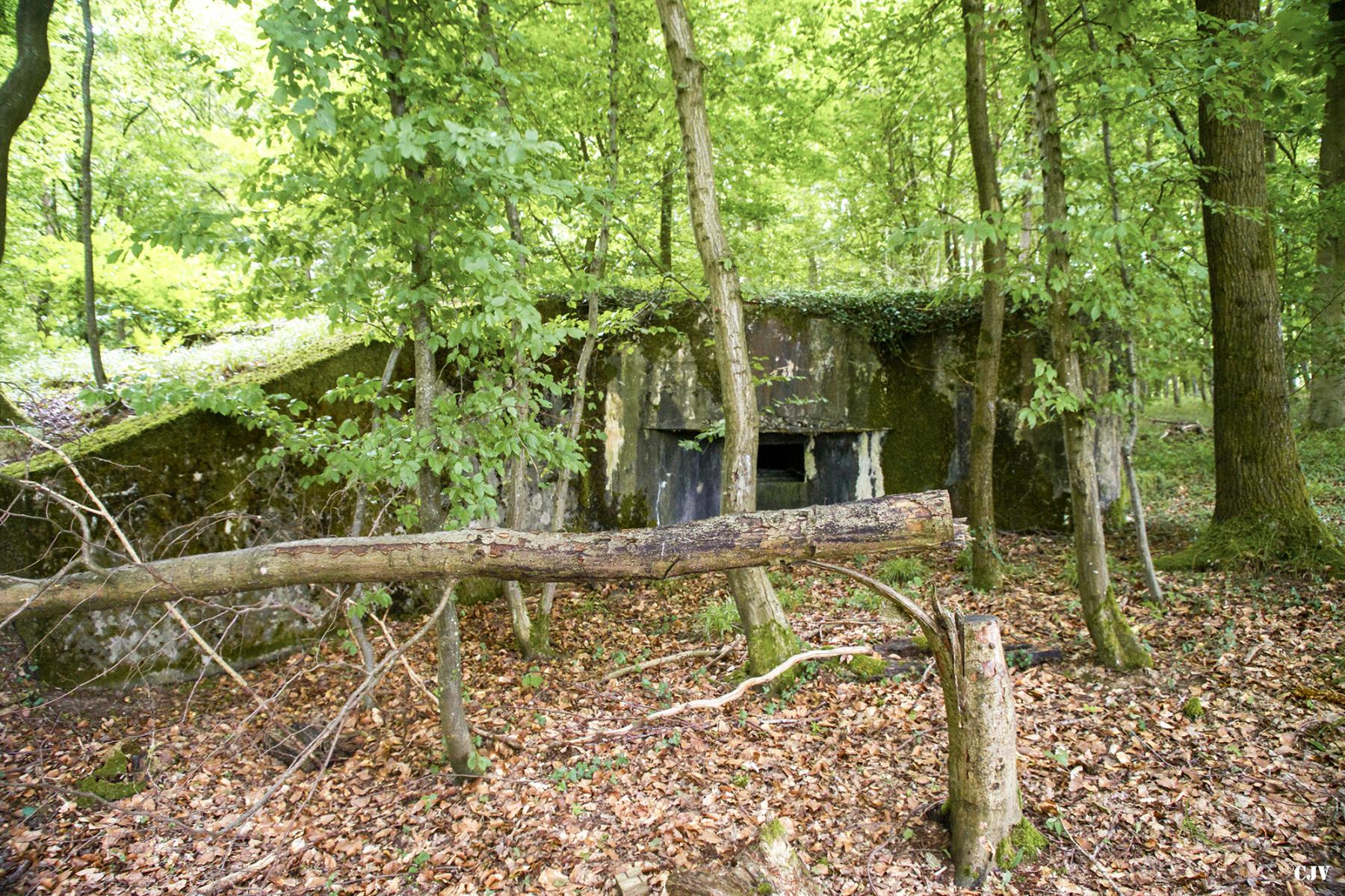 Ligne Maginot - M128 - MITTENWALD 3 - (Blockhaus pour arme infanterie) -  - Lia VERMEULEN