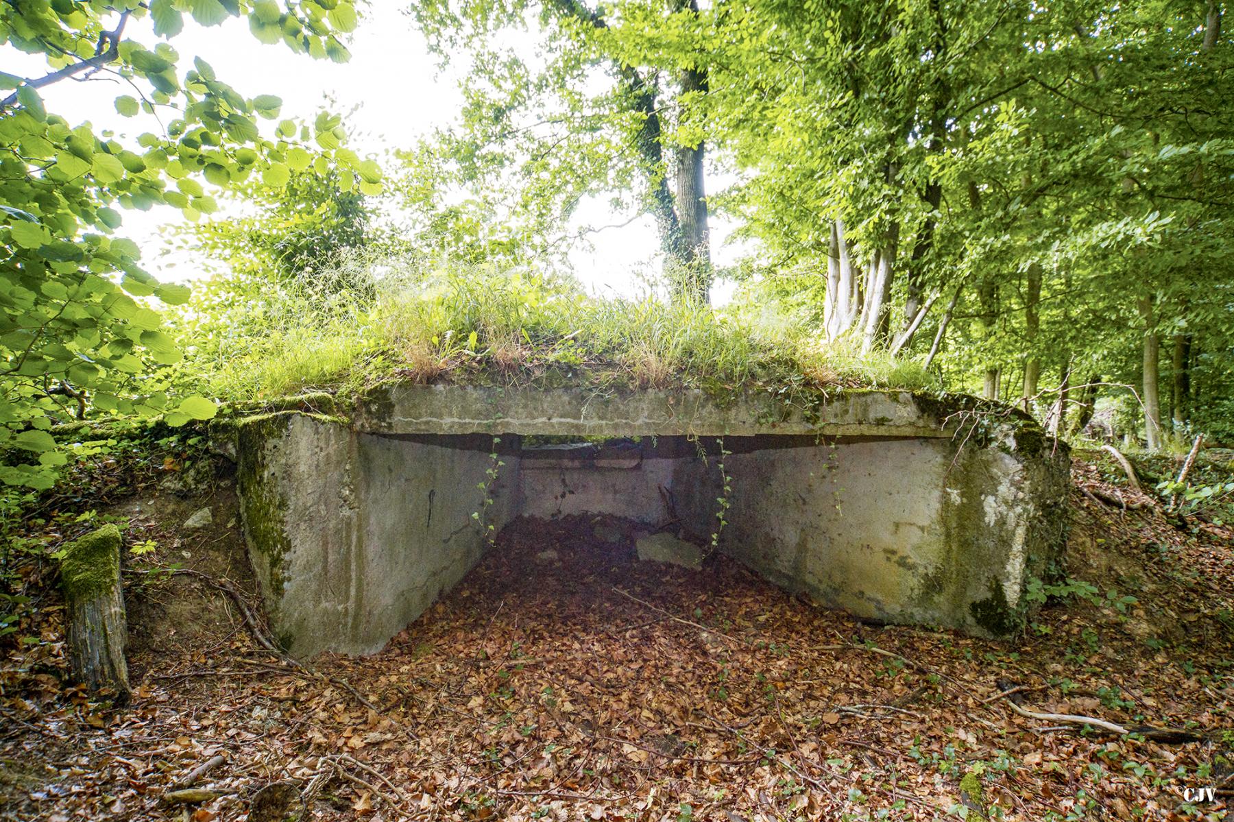 Ligne Maginot - MITTENWALD 2 - (Blockhaus pour canon) -  - Lia VERMEULEN