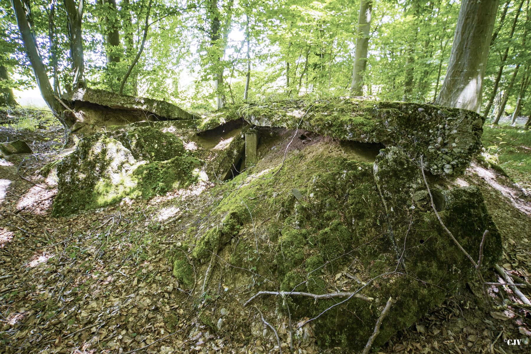 Ligne Maginot - MITTENWALD 1 - (Blockhaus de type indéterminé) -  - Lia VERMEULEN