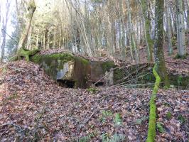 Ligne Maginot - FROHMUHL SUD - (Blockhaus pour arme infanterie) - La façade arrière du blockhaus.