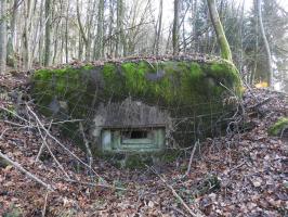 Ligne Maginot - FROHMUHL SUD - (Blockhaus pour arme infanterie) - La façade de tir. Noter la présence du grillage de camouflage.