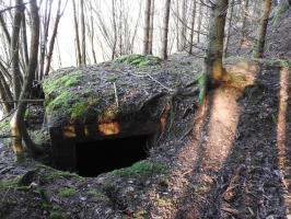Ligne Maginot - FROHMUHL NORD - (Blockhaus pour canon) - L'entrée du blockhaus.