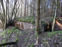 Ligne Maginot - FROHMUHL NORD - (Blockhaus pour canon) - La façade de tir remblayée.