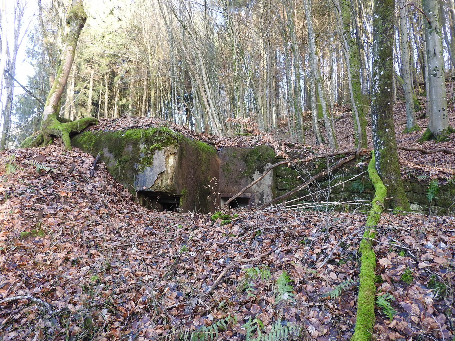 Ligne Maginot - FROHMUHL SUD - (Blockhaus pour arme infanterie) - La façade arrière du blockhaus. - STENGER Mathieu