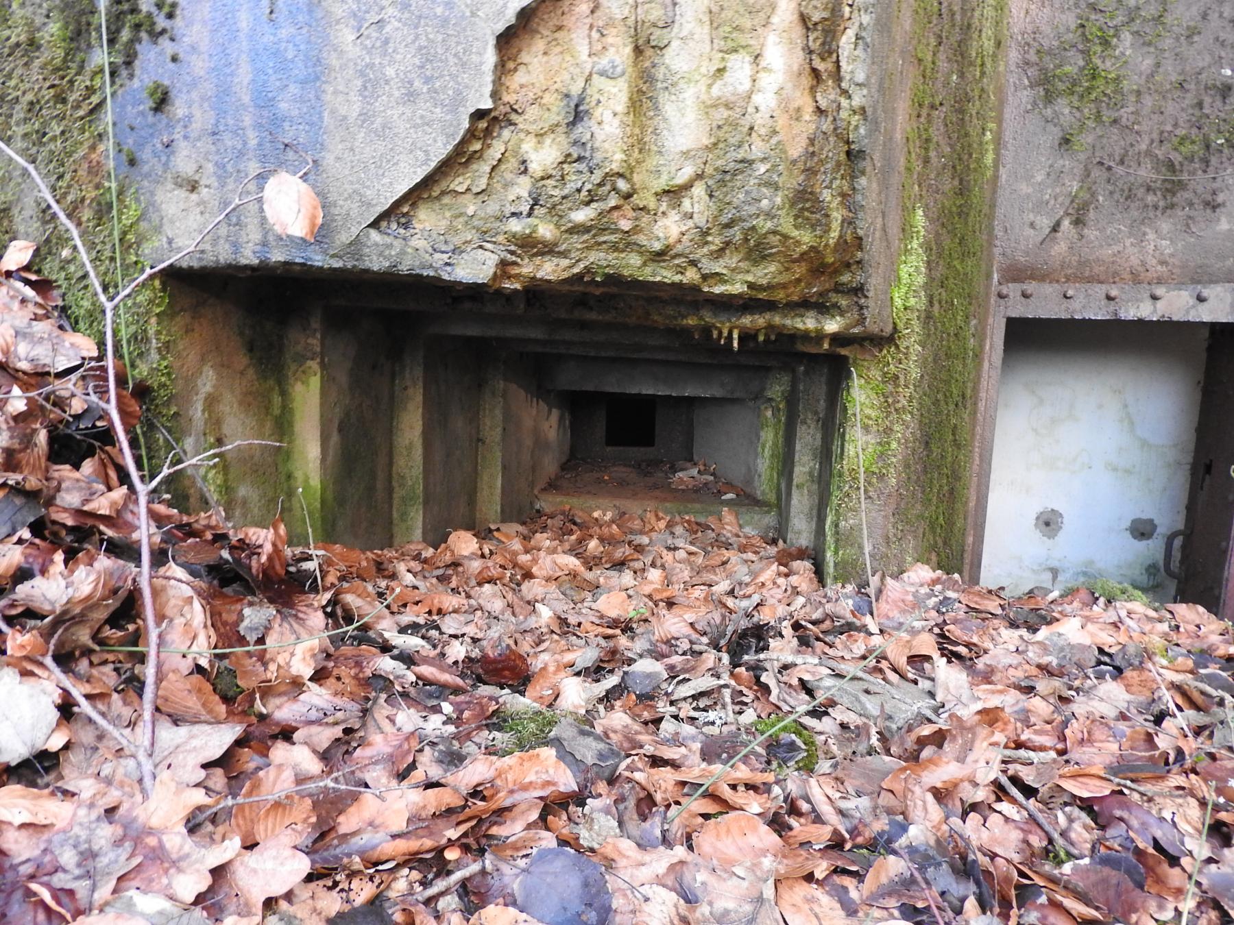 Ligne Maginot - FROHMUHL SUD - (Blockhaus pour arme infanterie) - Le créneau pour FM. - STENGER Mathieu