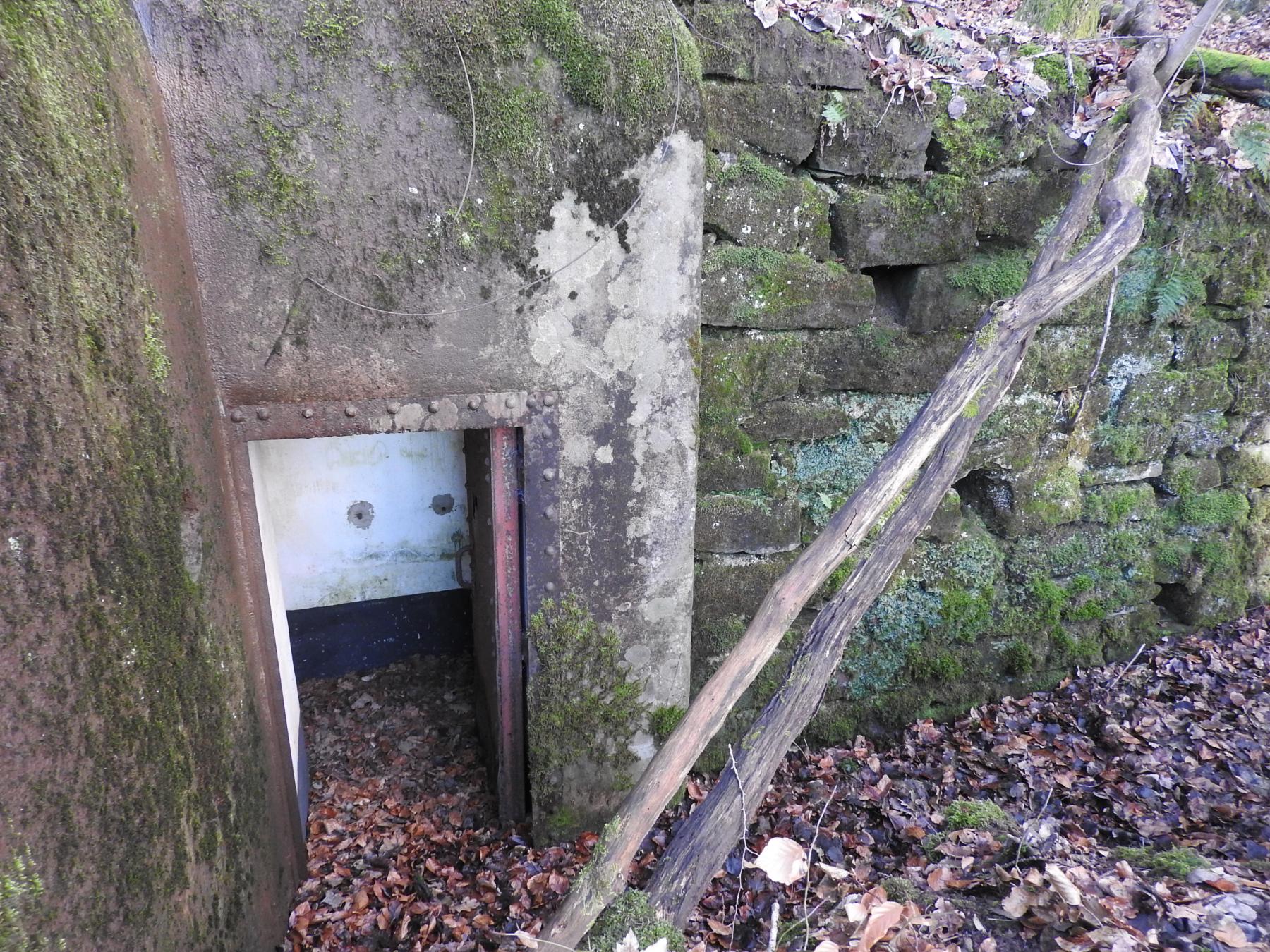 Ligne Maginot - FROHMUHL SUD - (Blockhaus pour arme infanterie) - L'entrée du blockhaus. - STENGER Mathieu